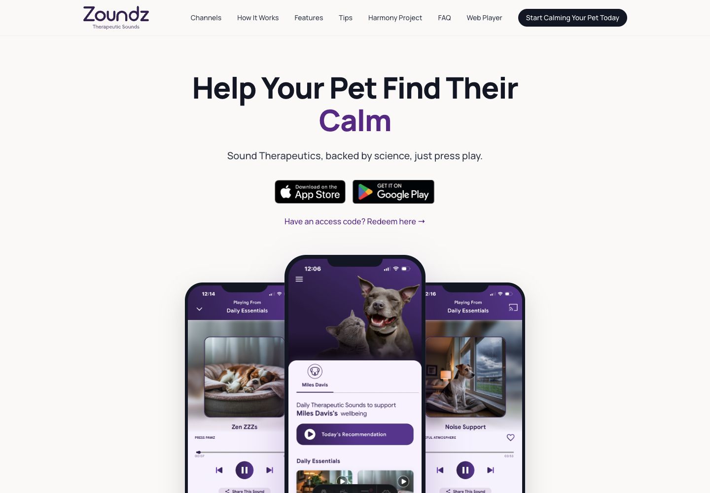 Website preview